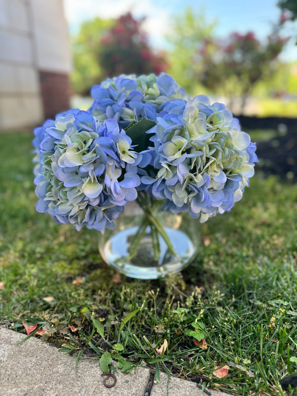 Hydrangeas #9136