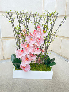 Pink Orchid with Rectangular Vase